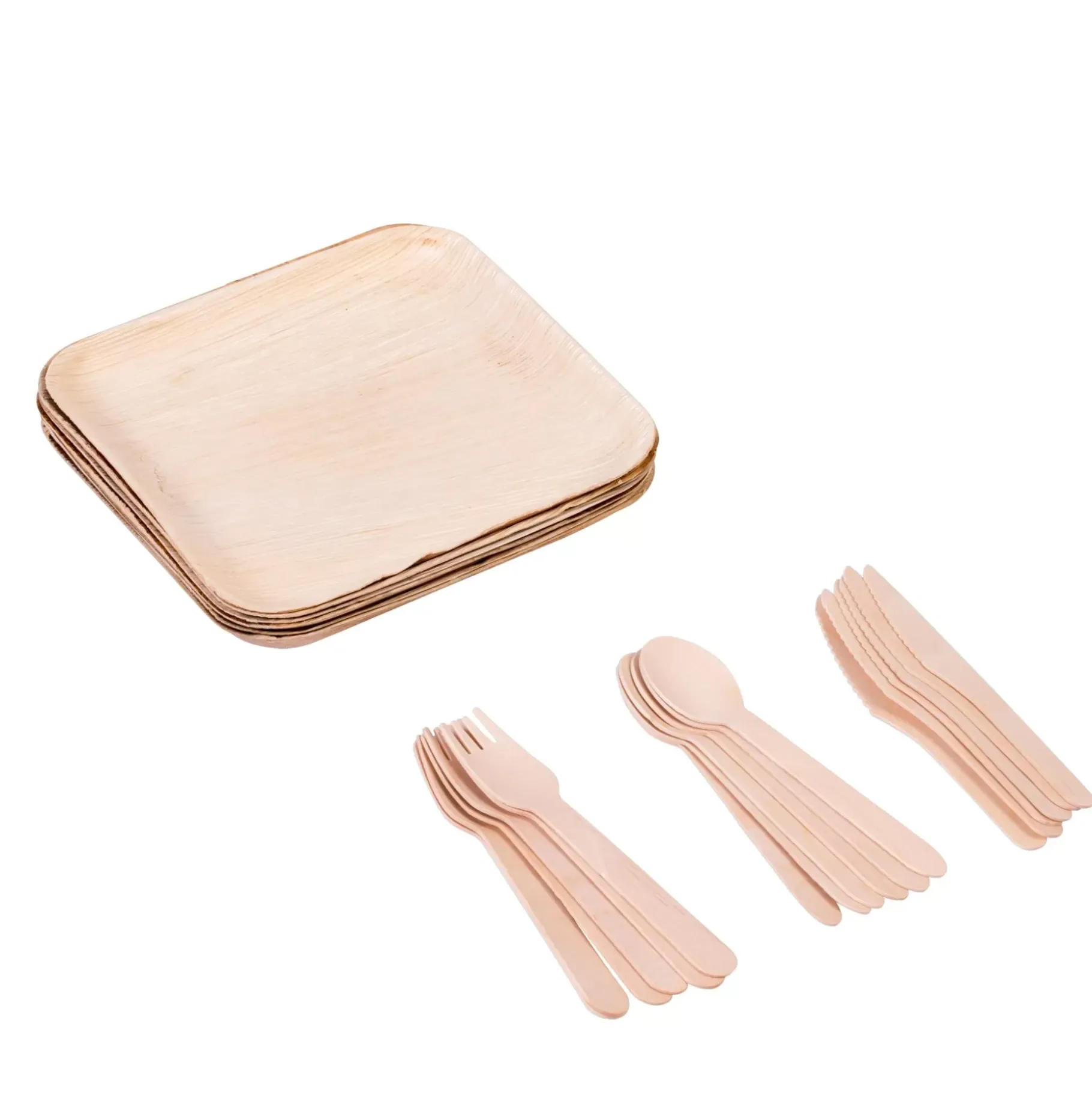 CASA Areca Leaf Platos 6 Unidades Con Cubierto Natural