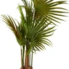 CASA Areca Palmera Verde