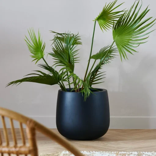 CASA Areca Palmera Verde