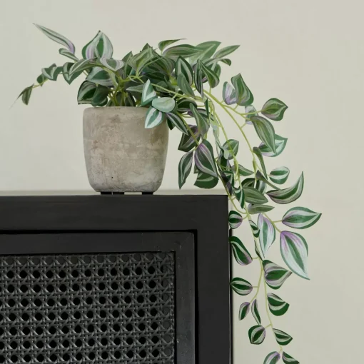 CASA Calathea Planta Colgante Gris, Verde, Morado