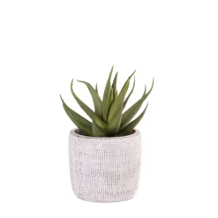 CASA Cement Planta Artificial Gris