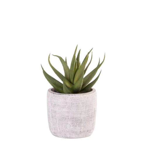 CASA Cement Planta Artificial Gris