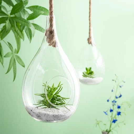 CASA Drop Gota De Vidrio Transparente