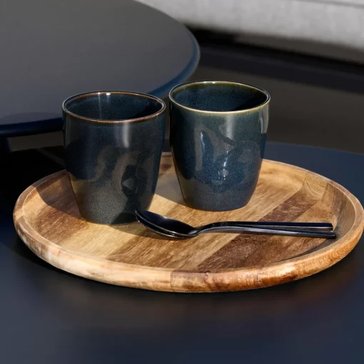 CASA Earth Ocean Taza Azul