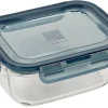CASA Evolution Fuente De Horno Con Tapa Gris, Transparente