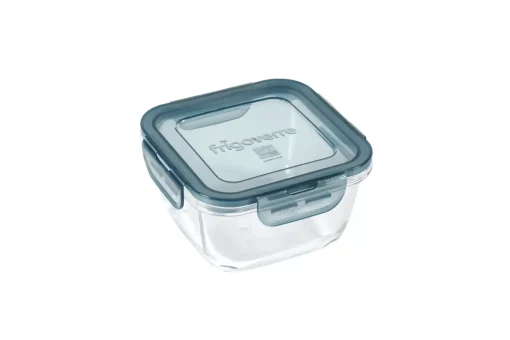 CASA Evolution Fuente Para Horno Con Tapa Gris, Transparente