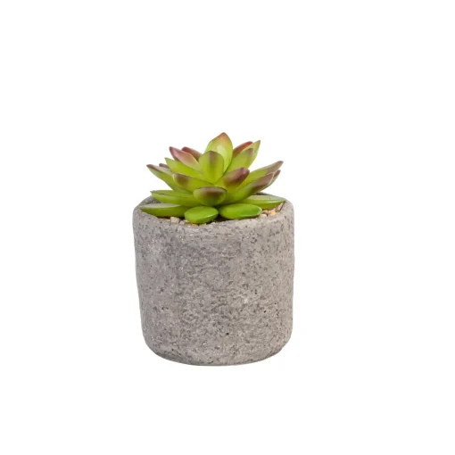 CASA Granit Planta Crasa En Maceta Verde