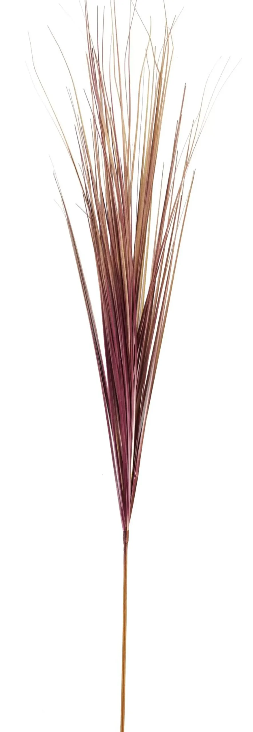 CASA Grass Haz De Hierba Rojo