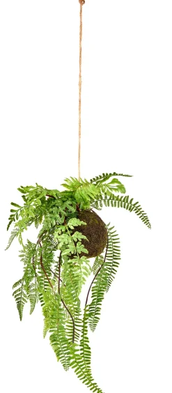 CASA Greenery Macetero Colgante Con Helecho Verde