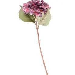 CASA Hydrangea Hortensia Burdeos