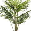 CASA Kwai Palmera Verde