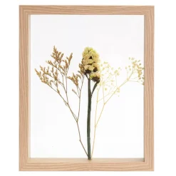 CASA Limonium Decoracion De Pared Natural