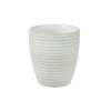 CASA Masterchef Taza Beis