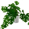 CASA Monstera Planta Varios Colores, Blanco, Verde