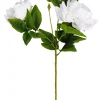 CASA Peony Rosa Peonia Blanco