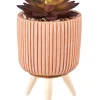 CASA Stripe Planta Crasa Art En Tarro Multicolor