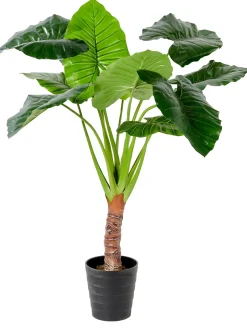 CASA Taro Planta Artificial Aro Verde