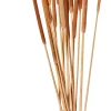 CASA Typha Canas Juego De 15 Natural